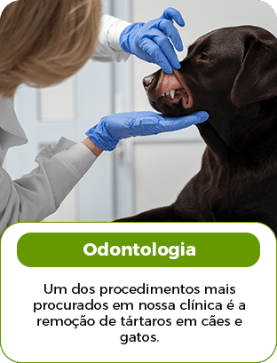 ODONTO