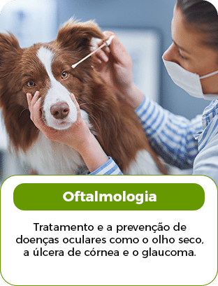 OFTALMOLOGIA