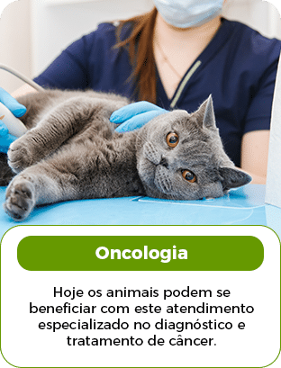 ONCOLOGIA