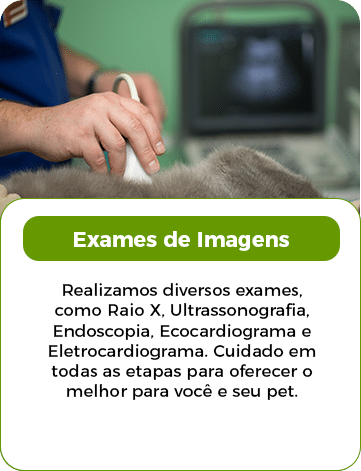SERVIÇOS DE IMAGEM-1